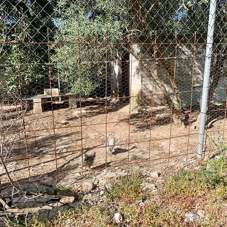 La Ladera Archidona